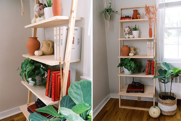 10 Diy Ladder Shelves With Plans If, How To Build A Ladder Shelf Bookcase